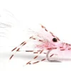 Leoshrimp Pink #6