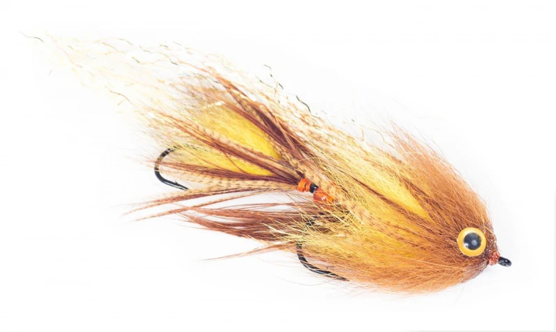 Guideline Swim Coach Baby Craven 2 Guideline Swim Coach Baby Craven – Bild 2