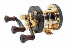 Abu Garcia Ambassadeur 5500 CDL (Goldrolle)