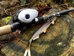 Quantum Accurist Baitcast AT101 HPT -Professionelle Angler 22 570101 6