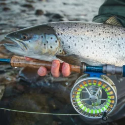 Vision Stifu Flyrod -Professionelle Angler VFU4967r 3